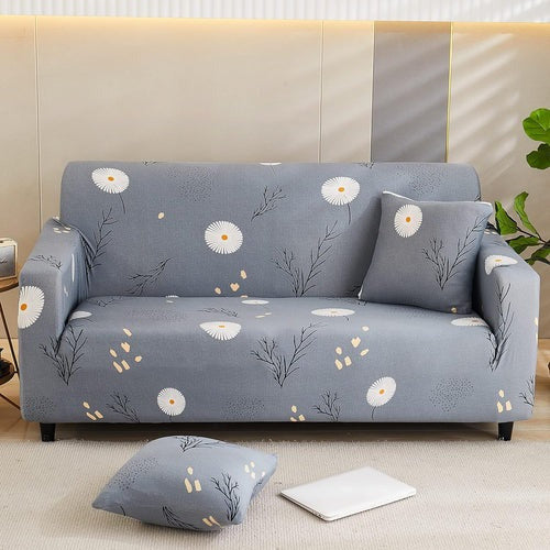 Grey Color Sofa