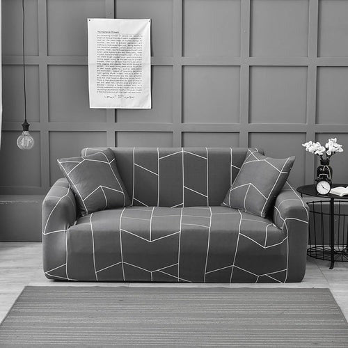 Grey Color Sofa